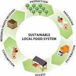 Sustainable Local Food System