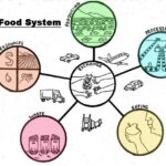 Food System