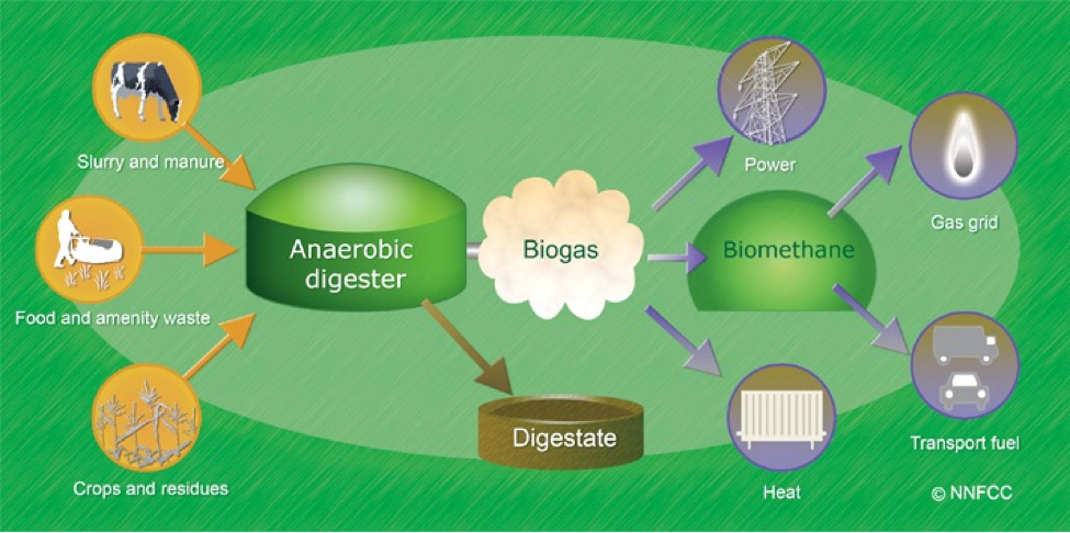 Anaerobic Digestion