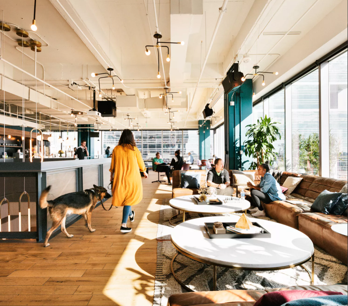 https://www.wework.com/buildings/stonewall-station--charlotte
